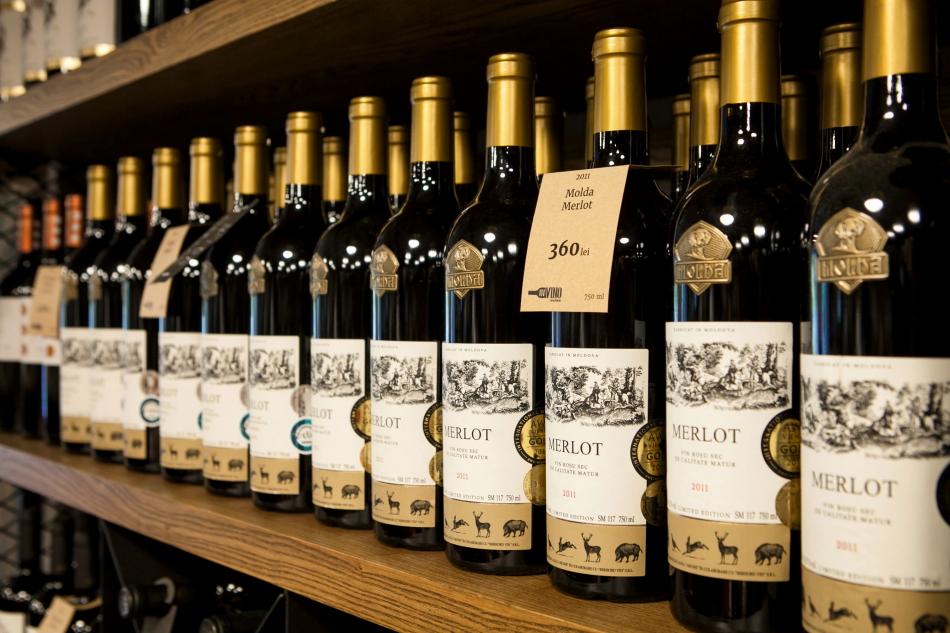 вина компании Molda в винотеке