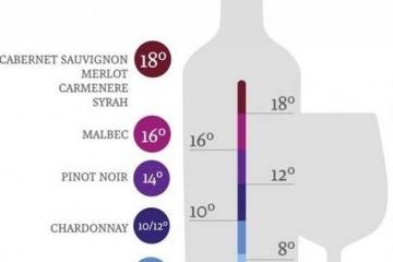 Правильная температура подачи вина