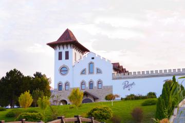 Chateau Purcari tours