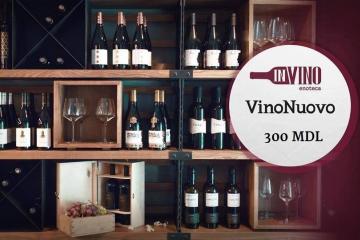 дегустация премиальных вин Equinox VieVin