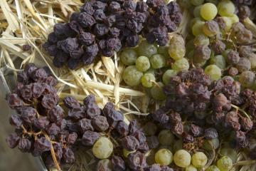 Wine from late harvest grapes