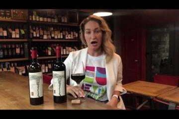 Embedded thumbnail for Special Wines: Sinodrea 2014