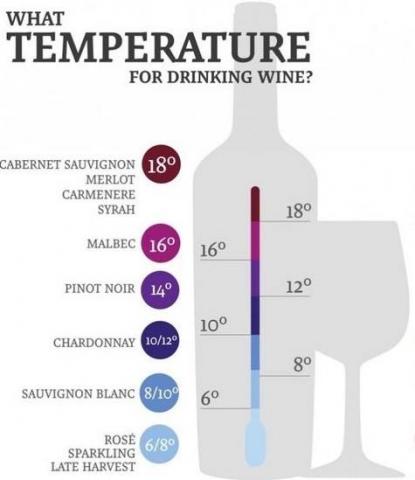 Informația grafică despre temperatura corectă la care se servește un vin