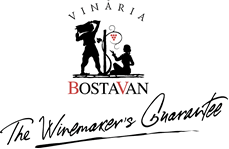 logo Bostavan