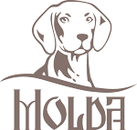 логотип Molda