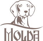 Molda logo Molda