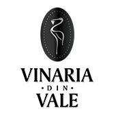 логотип Vinaria din Vale 